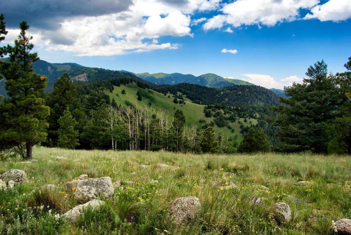 Apache Village Cabinette 11, Queen Bed, Midtown, Sleeps 2 Ruidoso Ngoại thất bức ảnh